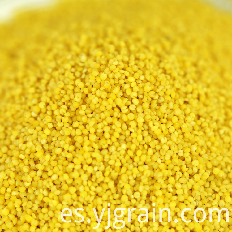 Yellow Hulled Millet